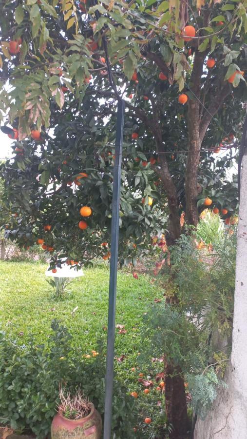 Vila Casa Dos Gansos Perais Exteriér fotografie